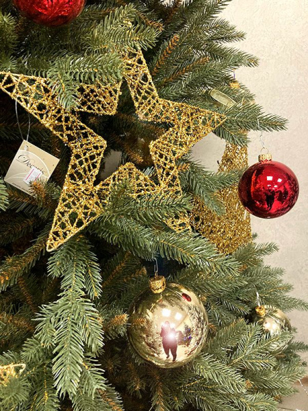 Елка "Непал"